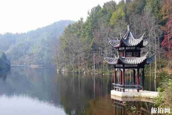 武漢避暑勝地推薦