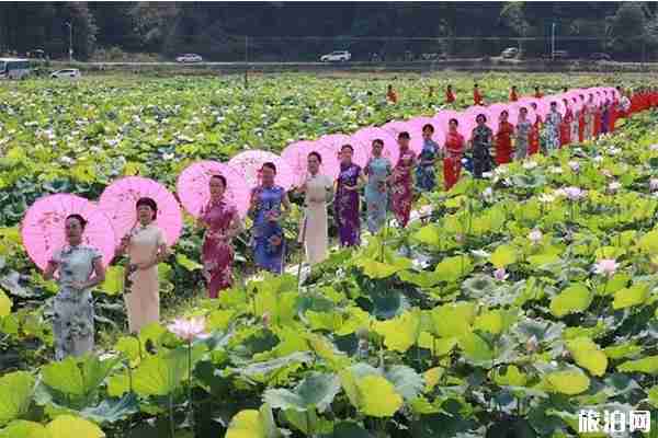 2019韶關(guān)新豐旅游文化節(jié)暨首屆遙田荷花節(jié)