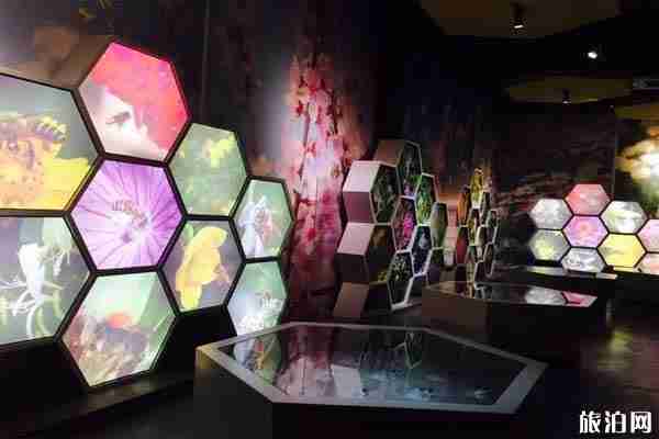 中國蜜蜂博物館概況+門票+開放時間