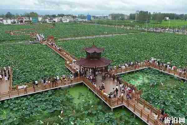 2019楓柏崗旅游景區(qū)七夕活動攻略 2019楓柏崗旅游景區(qū)七夕活動攻略