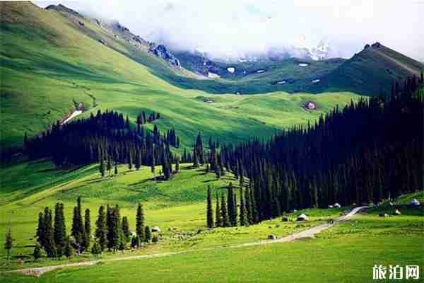 鞏乃斯草原騎馬要多少錢 附門票信息