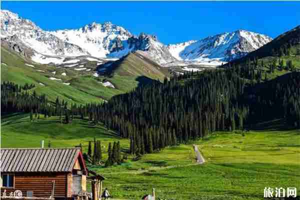 鞏乃斯景區(qū)自駕游攻略 景區(qū)適合露營嗎 鞏乃斯景區(qū)自駕游攻略 景區(qū)適合露營嗎