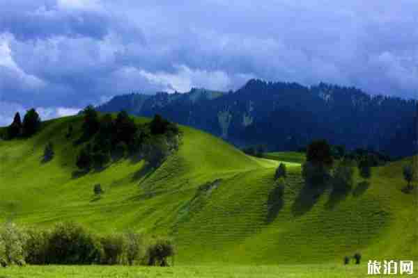 那拉提草原门票多少钱 骑马指南 那拉提草原门票多少钱 骑马指南