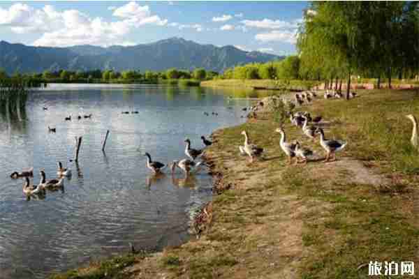 野鸭湖国家湿地公园停车费+自行车租赁费用 野鸭湖国家湿地公园停车费+自行车租赁费用
