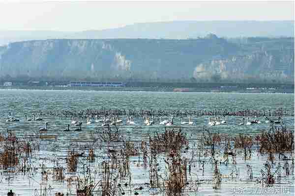 天鹅湖国家城市湿地公园需要门票吗 公园怎么样 天鹅湖国家城市湿地公园需要门票吗 公园怎么样