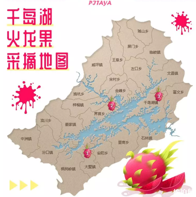 2019千岛湖采摘地推荐+最佳采摘时间 2019千岛湖采摘地推荐+最佳采摘时间