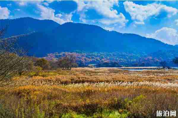 汉中汉江源景区有什么好玩的 汉中汉江源景区有什么好玩的