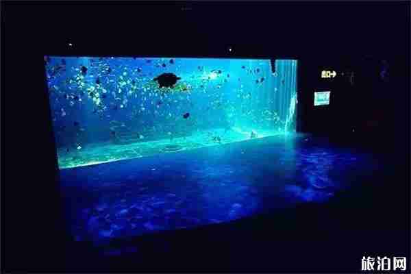 八一建軍節巴南景區優惠信息匯總 八一建軍節巴南景區優惠信息匯總