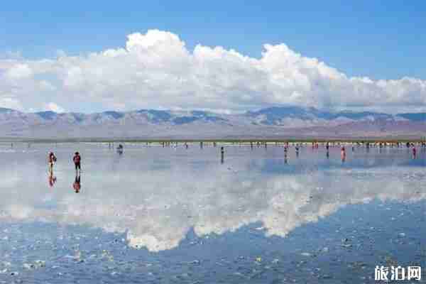 茶卡盐湖景区内部小交通+小项目收费 茶卡盐湖景区内部小交通+小项目收费