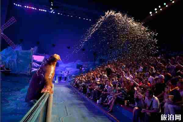 2019大连圣亚海洋世界门票+年卡+游玩路线+表演时间 2019大连圣亚海洋世界门票+年卡+游玩路线+表演时间