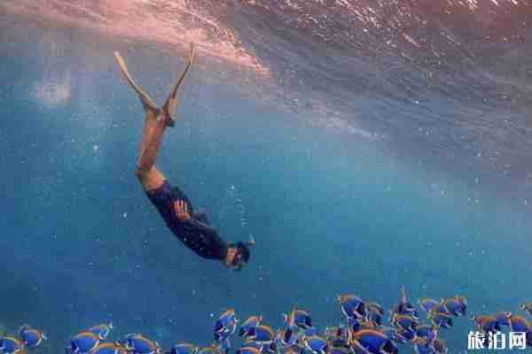 中央格兰德岛怎么样