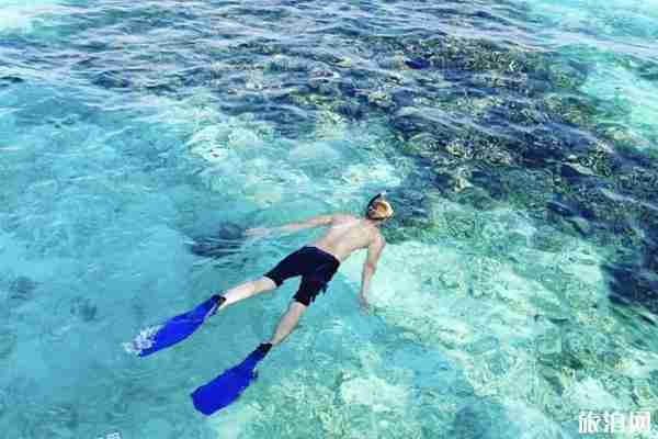 中央格兰德岛怎么样