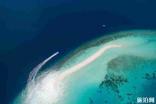 马尔代夫哈拉薇莉岛是几星岛 马尔代夫哈拉薇莉岛怎么样