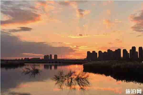 夏季鄂爾多斯玩水的地方推薦