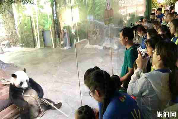 2019海口七夕節有什么活動