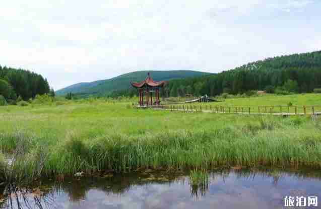 塞罕坝御道口自驾游旅游攻略 塞罕坝御道口自驾游旅游攻略