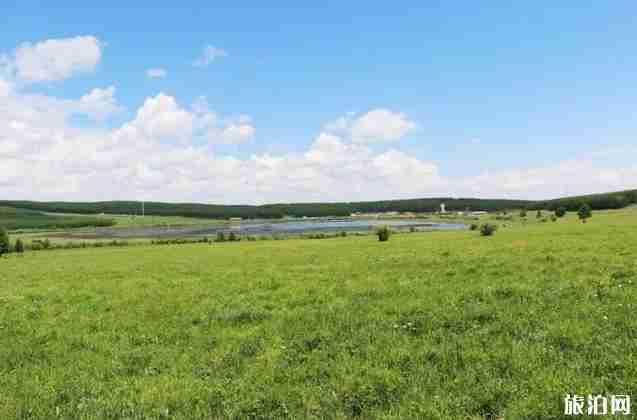 塞罕坝御道口自驾游旅游攻略 塞罕坝御道口自驾游旅游攻略