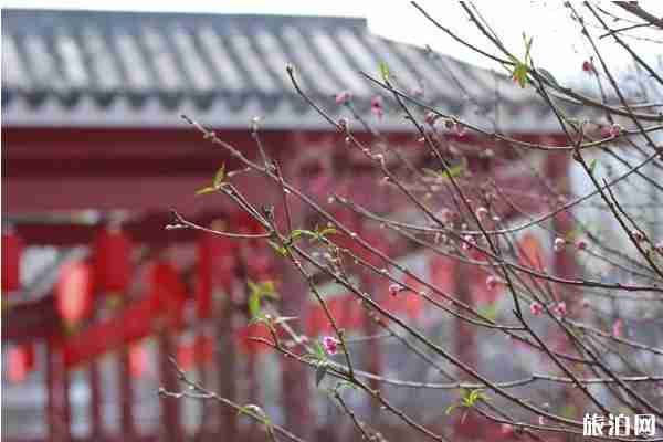 2019佛山七夕節哪好玩