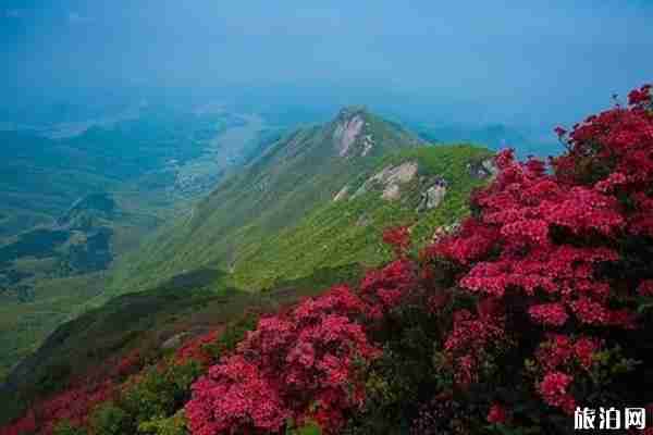 南岳衡山門票2019一次購票多次進出+游玩攻略 南岳衡山門票2019一次購票多次進出+游玩攻略