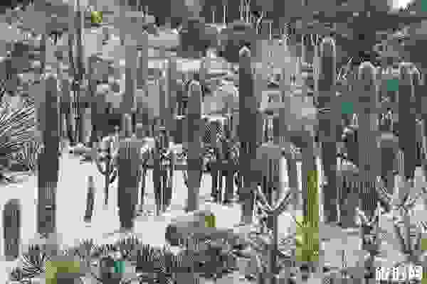 2019廈門園林植物園門票+開放時(shí)間+優(yōu)惠信息 2019廈門園林植物園門票+開放時(shí)間+優(yōu)惠信息