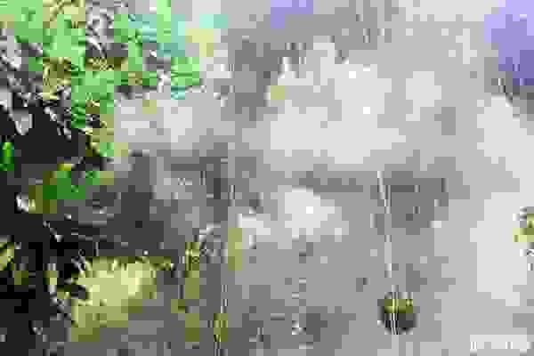 2019廈門園林植物園從哪個門進(jìn)+講解服務(wù)