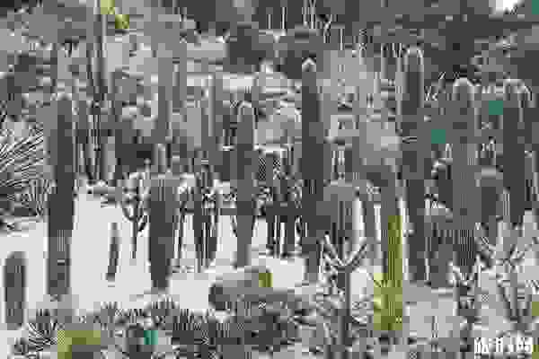 2019廈門園林植物園從哪個門進(jìn)+講解服務(wù)