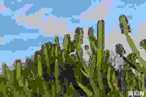 2019廈門園林植物園在哪里地址+交通+電話+官網