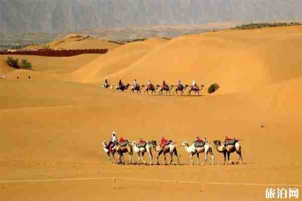 中衛三日游玩攻略 沙坡頭+通湖草原+水洞溝