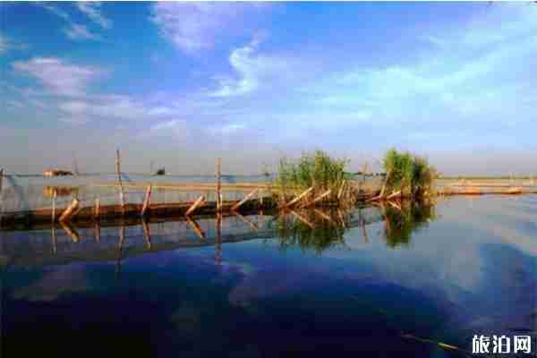白洋淀風景區必玩區 怎么玩省錢 白洋淀風景區必玩區 怎么玩省錢