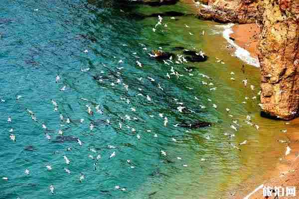七夕最適合情侶去的海島推薦 國內(nèi)海島旅游推薦 七夕最適合情侶去的海島推薦 國內(nèi)海島旅游推薦