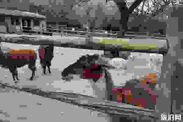 西安秦嶺野生動物園好玩嗎+游園線路+電話+官網