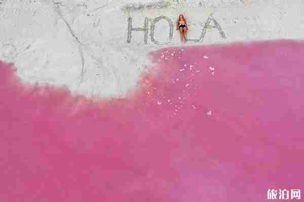 墨西哥粉紅湖形成原因 墨西哥粉紅湖攻略
