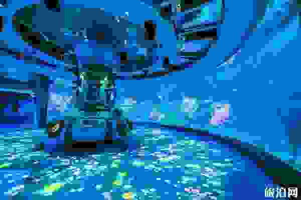 青島海昌極地海洋公園場館游玩攻略+表演時間+住宿+美食 青島海昌極地海洋公園場館游玩攻略+表演時間+住宿+美食