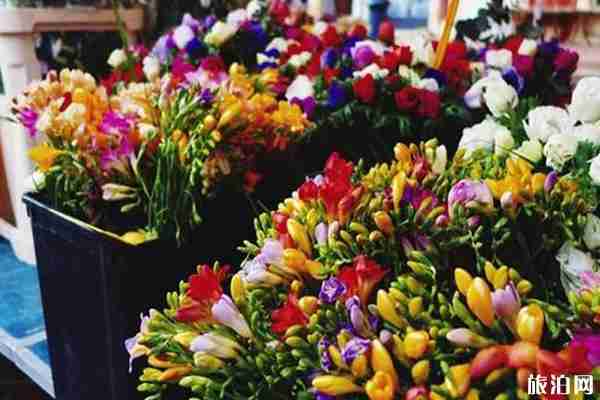 法國尼斯有哪些旅游景點