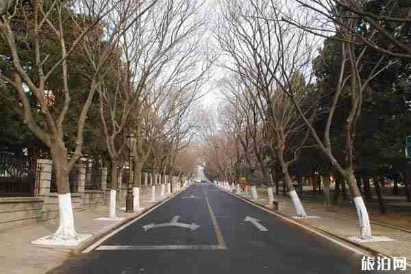 青島八大關風景區游覽攻略