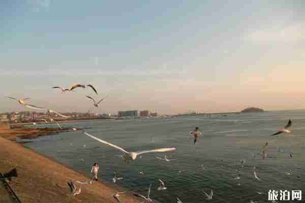 青岛周边自驾游去哪里 青岛周边自驾游哪里好玩