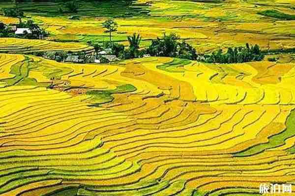 云南玉溪旅游景點介紹 云南玉溪旅游景點介紹