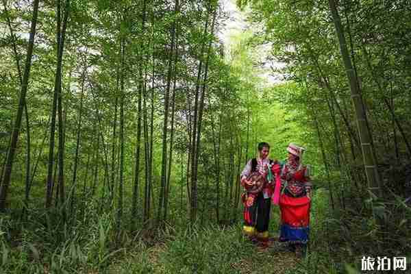 夏季到云南玉溪避暑好嗎 夏季到云南玉溪避暑好嗎