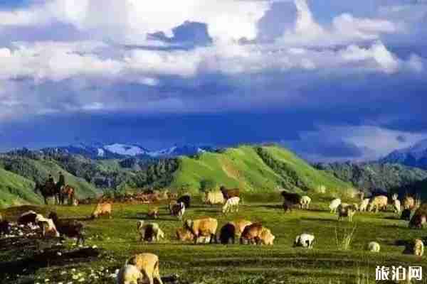 八月新疆旅游景點攻略