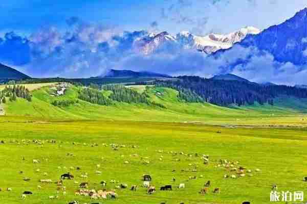 八月新疆旅游景點攻略
