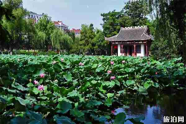 南京網紅景點打卡地 南京網紅拍照地 南京網紅景點打卡地 南京網紅拍照地