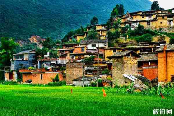 云南購物必買清單 云南特產有哪些好帶的 云南購物必買清單 云南特產有哪些好帶的