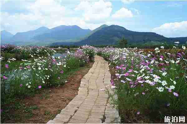 云南旅游拍照指南+住宿+費用
