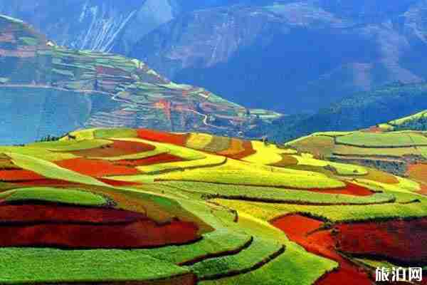 云南旅游交通指南 云南旅游交通方式