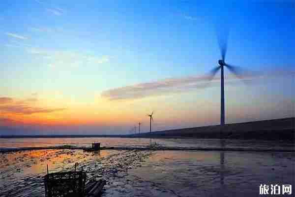 寧波8條最美風車公路怎么去 寧波8條最美風車公路怎么去