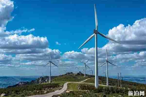 寧波8條最美風車公路怎么去 寧波8條最美風車公路怎么去