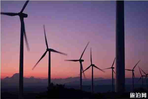 寧波8條最美風車公路怎么去 寧波8條最美風車公路怎么去