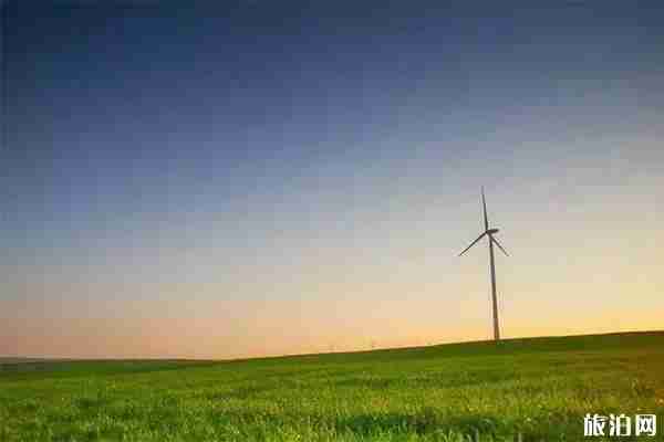 寧波8條最美風車公路怎么去 寧波8條最美風車公路怎么去