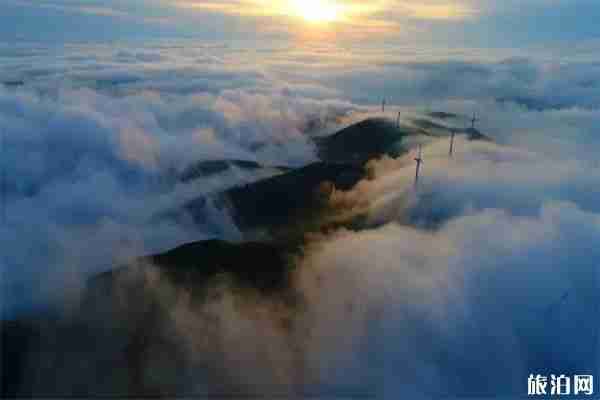 寧波8條最美風車公路怎么去 寧波8條最美風車公路怎么去