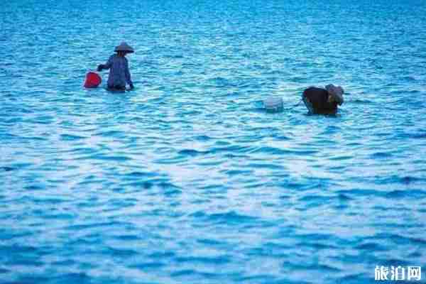 2019潭門趕海節時間+地點+交通+活動介紹